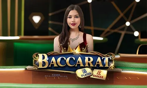 Online bingo ticket with bonus offers