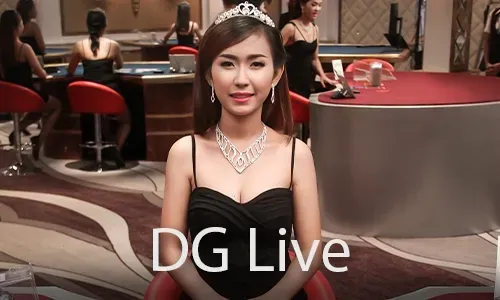 Diverse Range of Online Casino Games